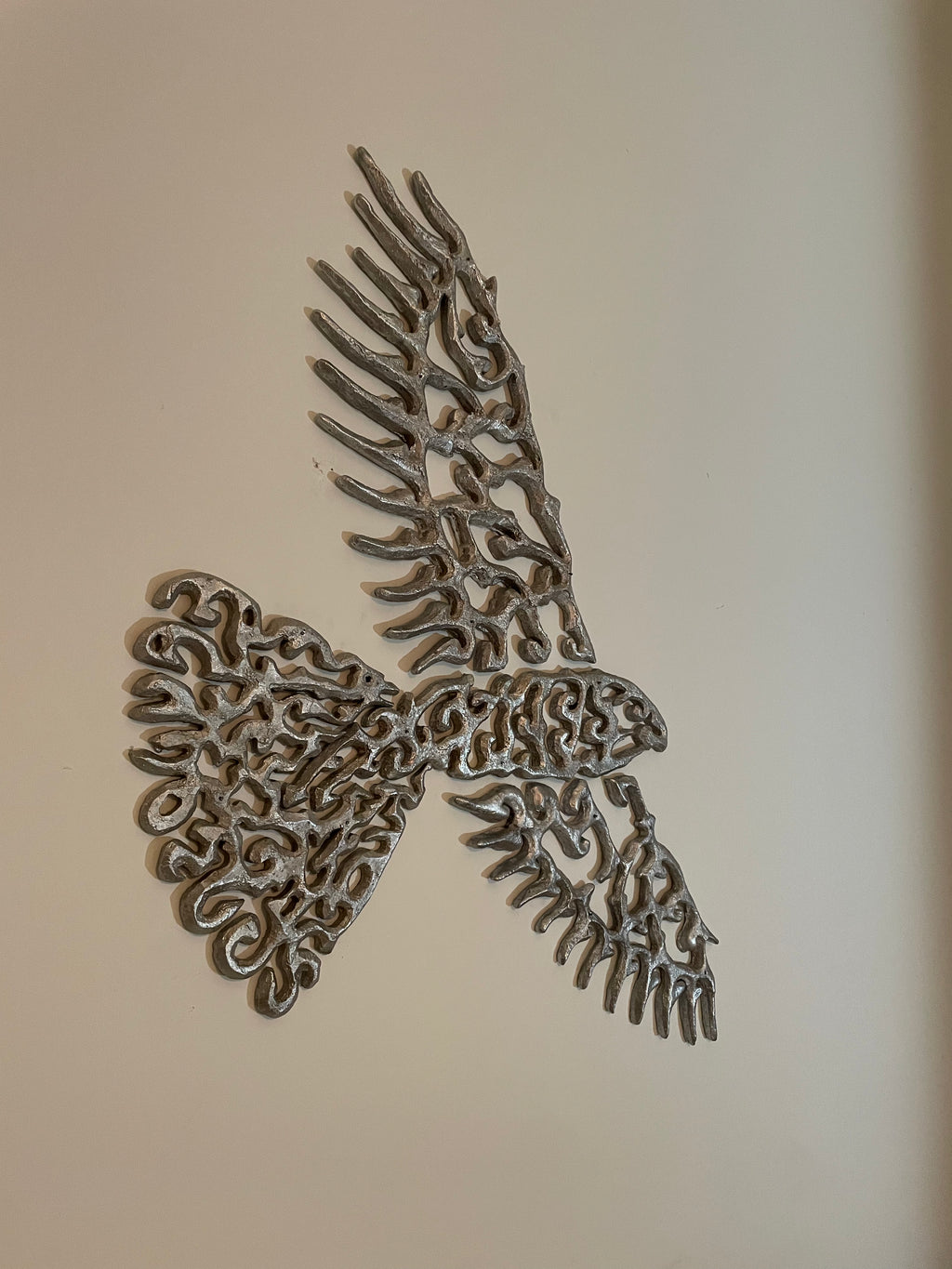 Kārearea (New Zealand Falcon) - The Fat One