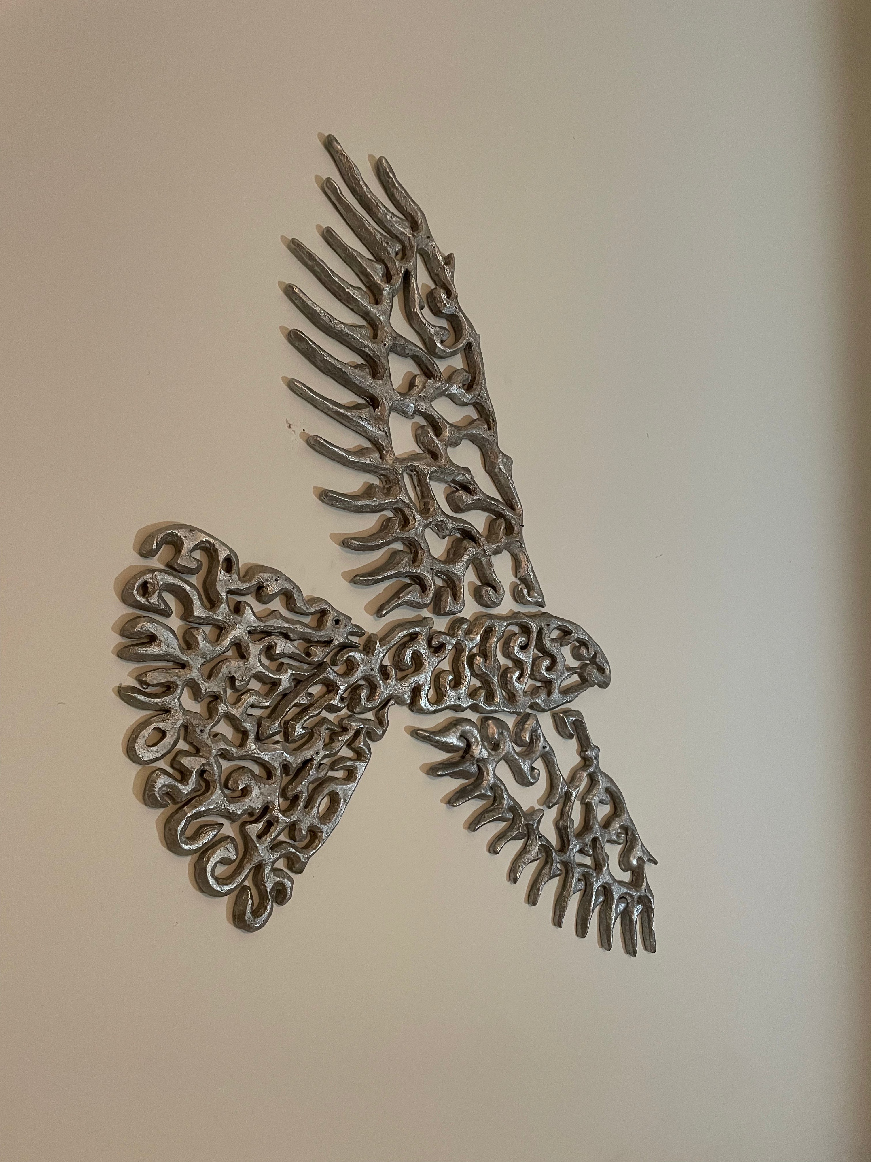 Kārearea (New Zealand Falcon) - The Fat One