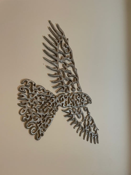 Kārearea (New Zealand Falcon) - The Fat One